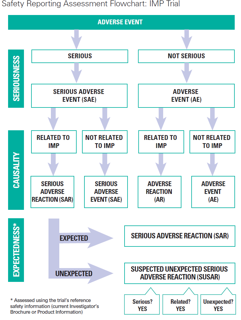 clinical research safety report